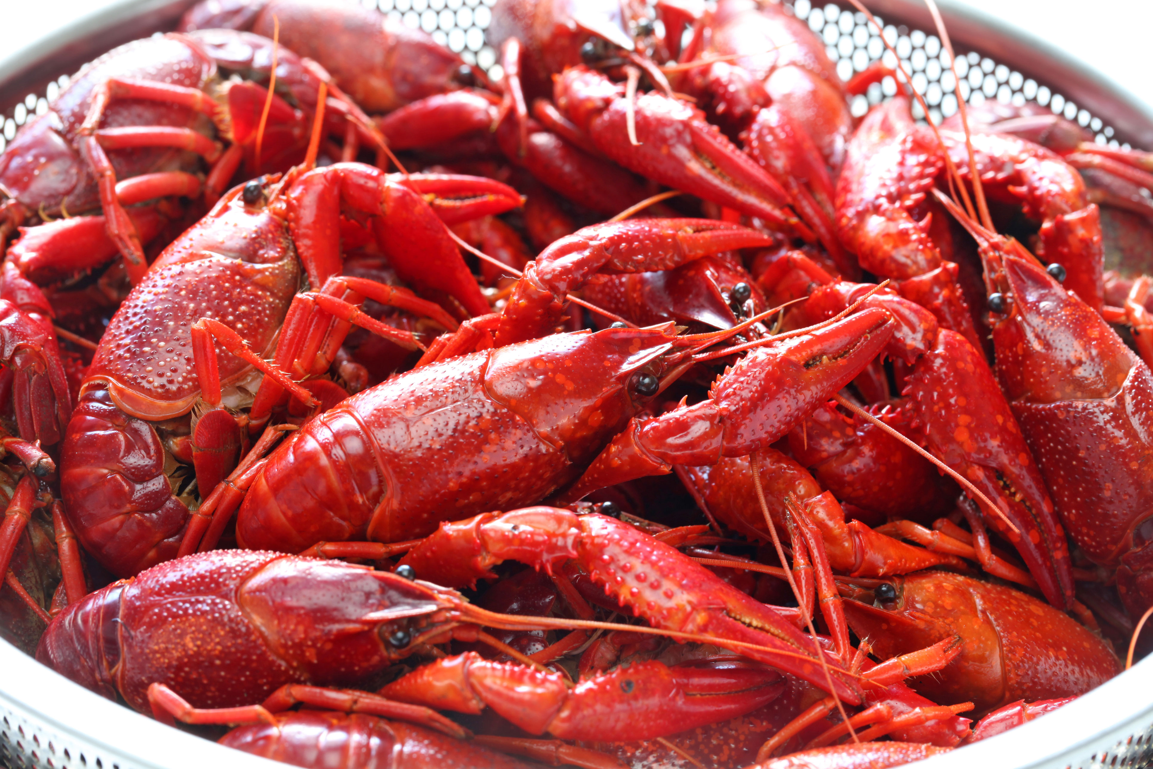 Let's Get Cray • Rouses Supermarkets