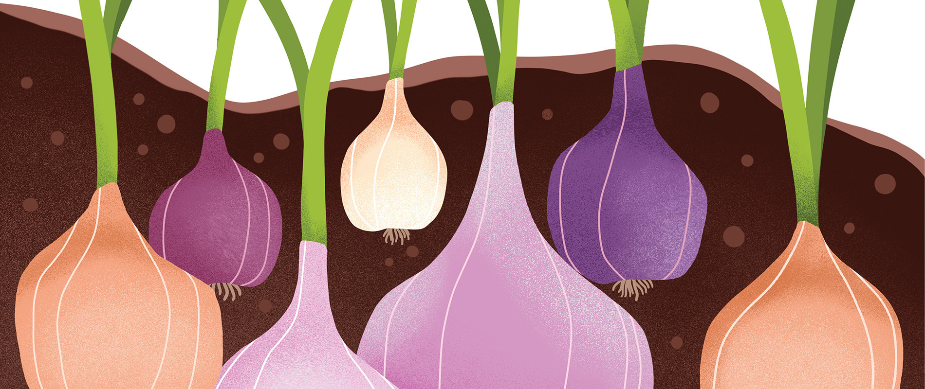 Classic Caesar Salad Recipe • Rouses Supermarkets